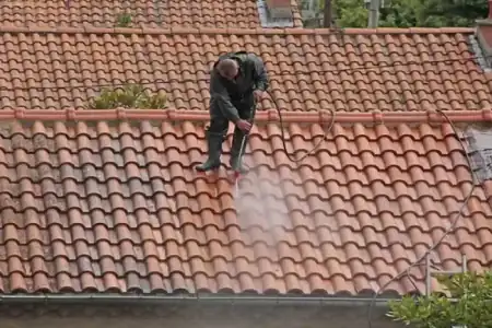 Nettoyage et démoussage de toiture à Saint-Genès-de-Fronsac à Saint-Genès-de-Fronsac